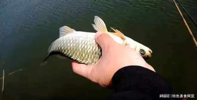 蚯蚓釣鯽魚,調漂技巧大揭秘!