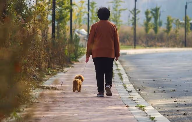 64歲獨居大媽的感慨:老伴因病去世後,我反而感覺生活自在多了