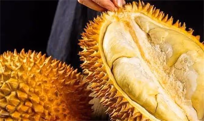 榴槤打開了不熟要怎麼放才能熟?教你怎麼處理才不會浪費