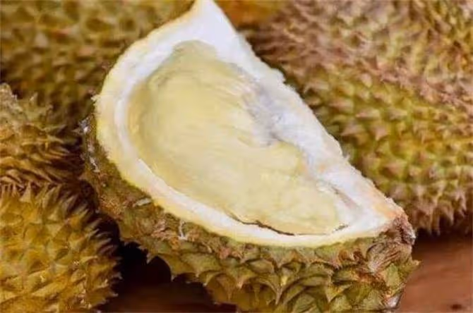 榴槤打開了不熟要怎麼放才能熟?教你怎麼處理才不會浪費