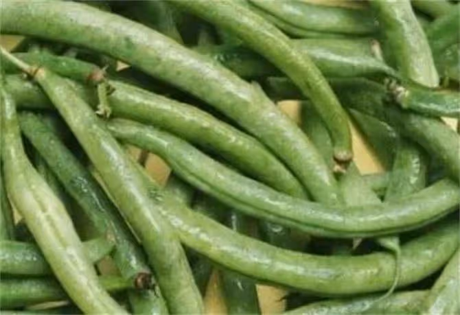 怎麼判斷豆角熟沒熟?豆角煮多久才能保證安全無毒呢?