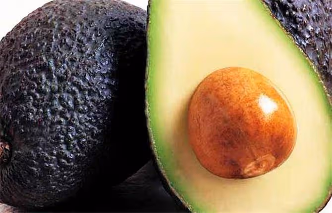 牛油果營養豐富,只吃它可以減肥嗎?牛油果吃了有什麼好處?