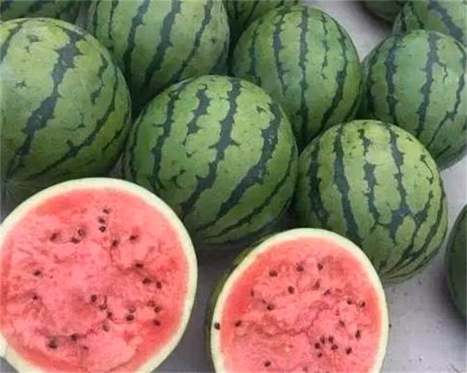 美都西瓜產地在哪裡?美都西瓜是哪裡產的?