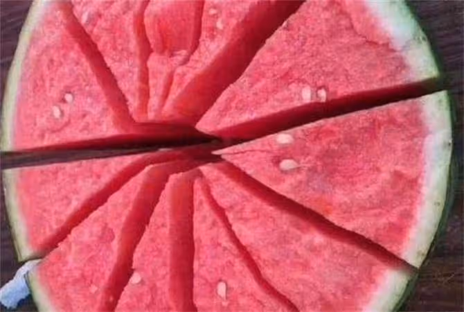 美都西瓜產地在哪裡?美都西瓜是哪裡產的?
