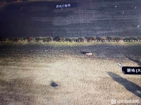 《莊園領主》種田細節分享
