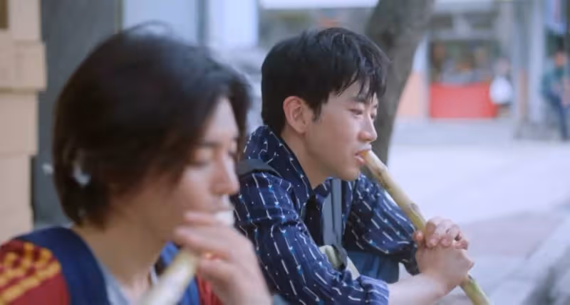 一口氣看4集,越看越上癮,侯明昊楊采鈺新劇令人觀眾入坑