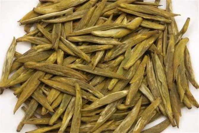 中國四大黃茶是什麼?中國黃茶有哪些?有什麼特點?