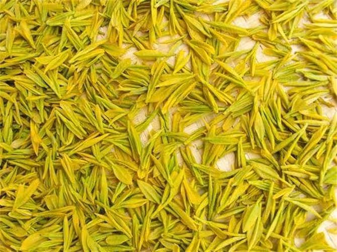中國四大黃茶是什麼?中國黃茶有哪些?有什麼特點?