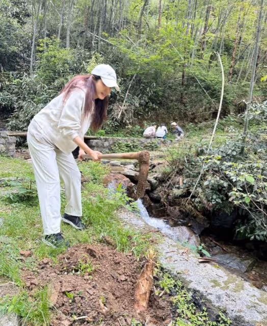 曾黎勞動節山間挖竹筍，演藝圈外尋生活平衡