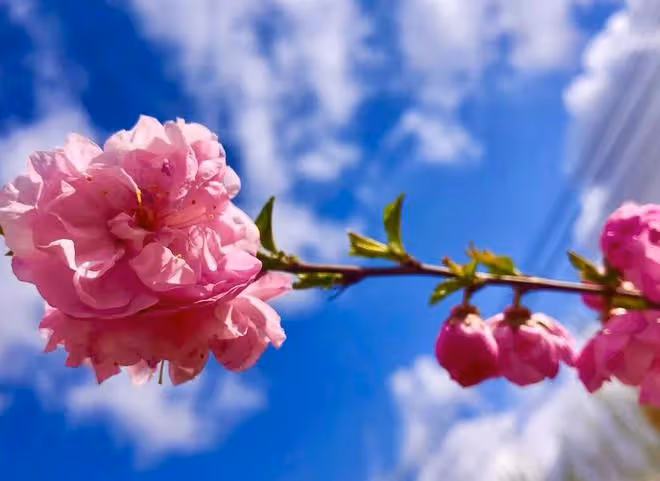 婆媳統一戰線,抵制兒子的控制欲,背後的「愛」誰懂