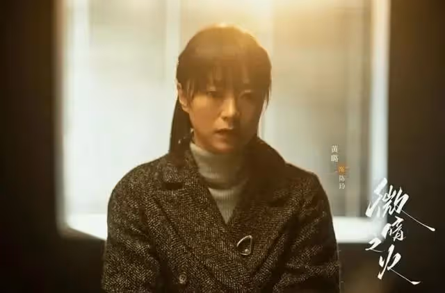 微暗之火:看了原著才知道南雅有多狠,父親繼母她一個都沒放過