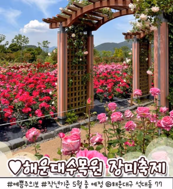 釜山5月慶典合集