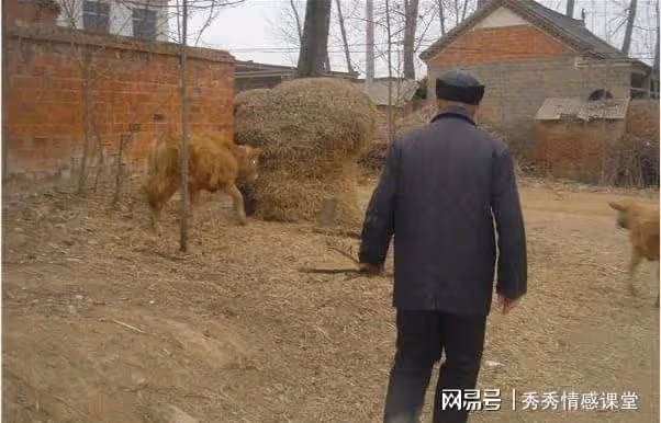 繼父時常給我送菜,媳婦懷孕後他再沒來過,這天回家我才知道為啥