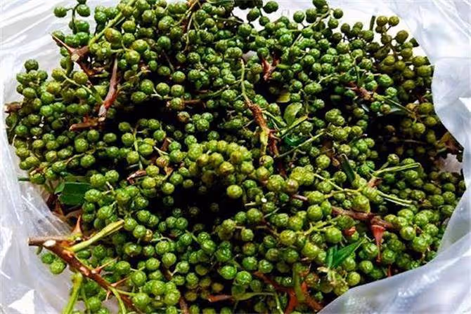 青花椒怎麼保存不變色又保鮮?花椒如何保存才能保持它的色香味?