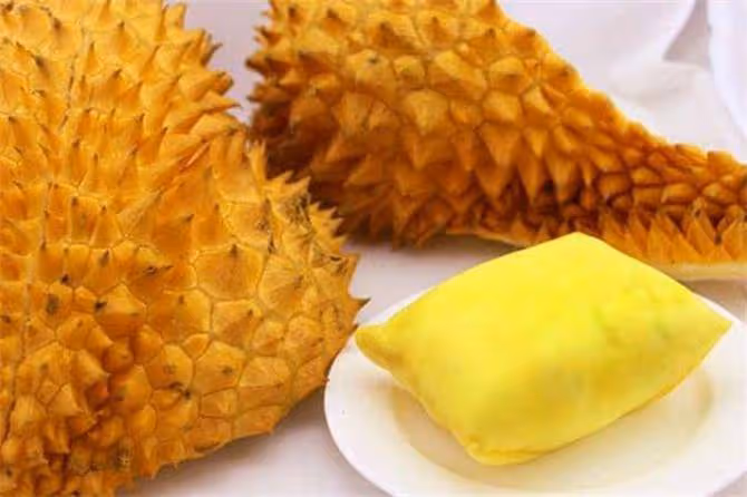 榴槤什麼時候吃是應季?榴槤雖然美味,但4類人群要少吃
