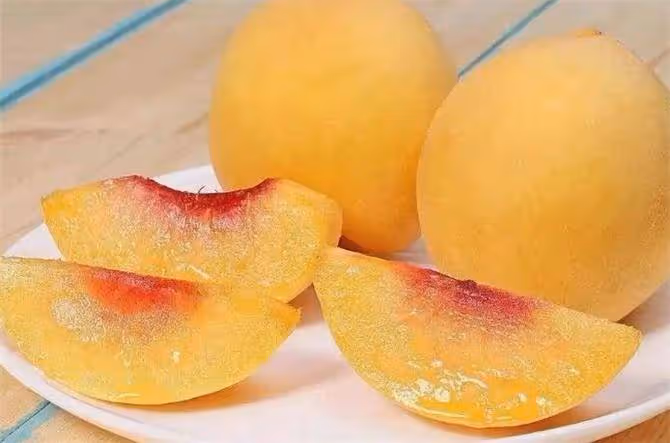 吃不完的黃桃別再扔了,教你黃桃最佳的儲存方法,健康無添加
