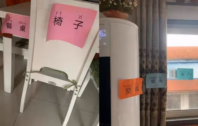 我在家做了這件事,5歲孩子識字量暴漲10倍,老師都找我要方法