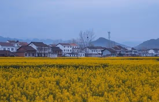 我57歲:和研究生兒子兒媳相處三年才發現,學歷和做人是兩碼事