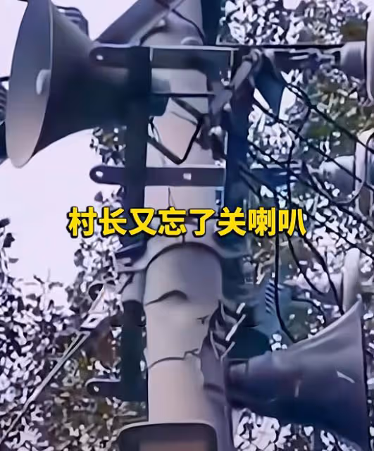 村長又忘了關喇叭?女兒帶著哭腔抱怨:「想要個男人啊媽媽」