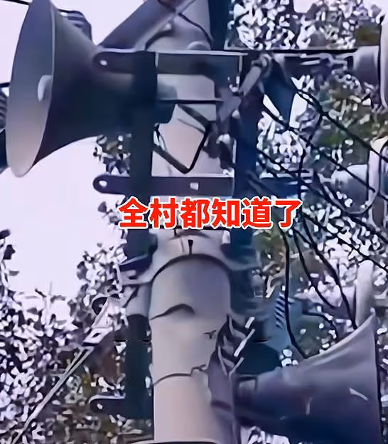 村長又忘了關喇叭?女兒帶著哭腔抱怨:「想要個男人啊媽媽」