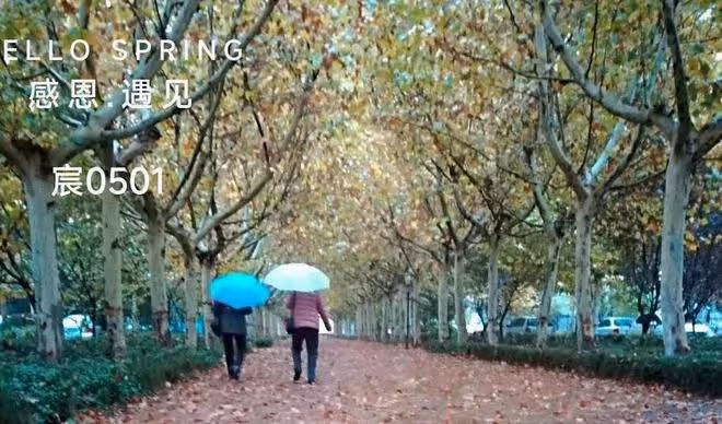 老人長壽是福嗎?88歲老人生日宴上小重孫的一句話,讓他痛哭失聲