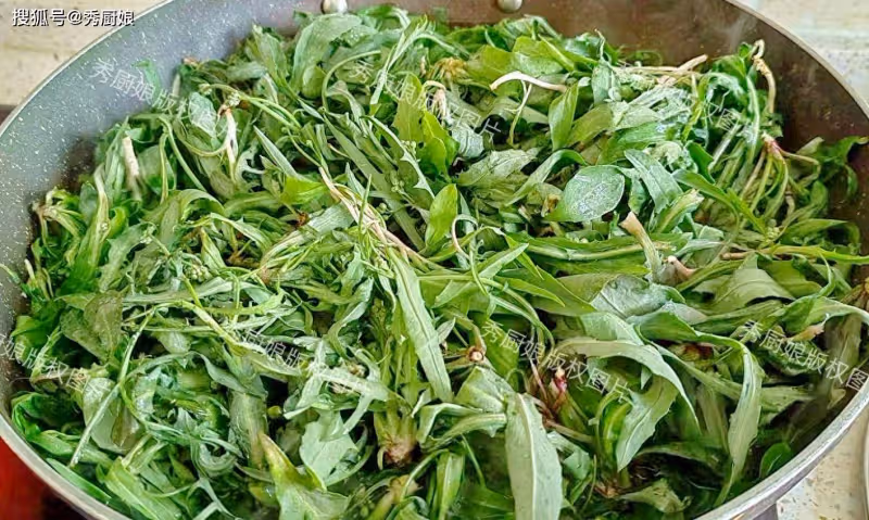 這菜全身是寶,卻因名字被人「嫌棄」,比薺菜還營養,蒸包子真香