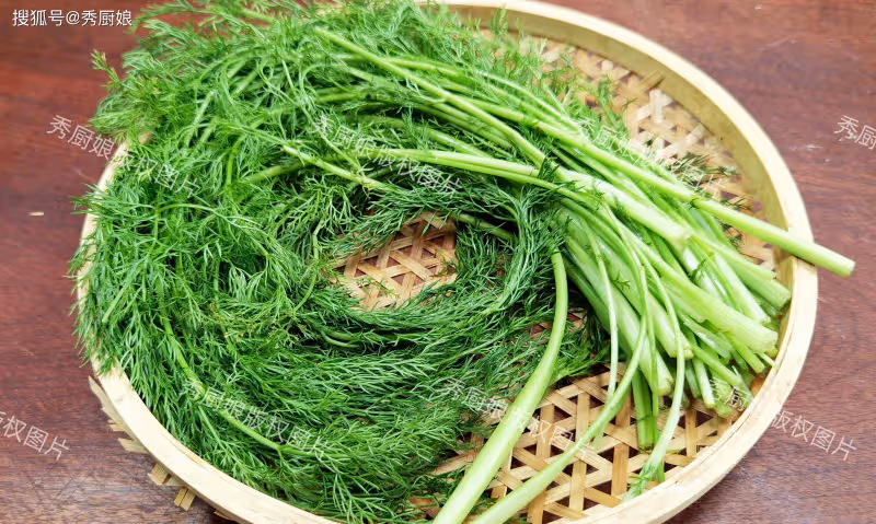 5月必吃的素餡兒餃子,比韭菜香,比薺菜營養,一周吃3次都不解饞