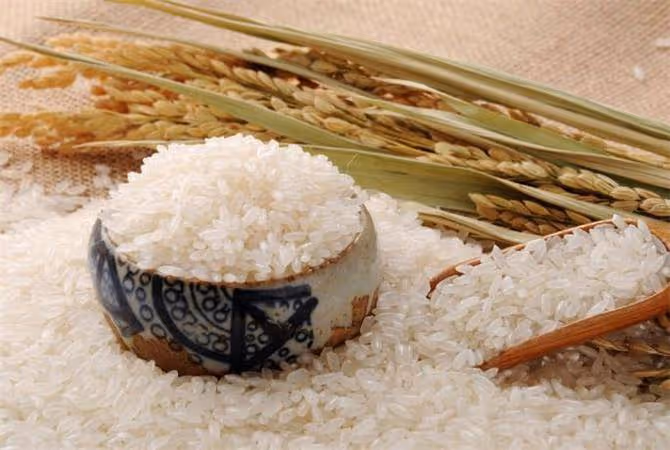 什麼叫五常大米,在哪裡能買到?五常大米產地哪裡正宗?