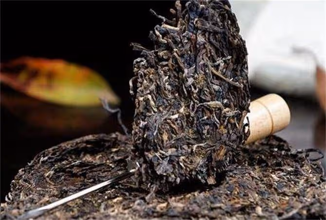 普洱茶好壞怎樣鑑別?記住這5點,學會一看就知道是不是好茶