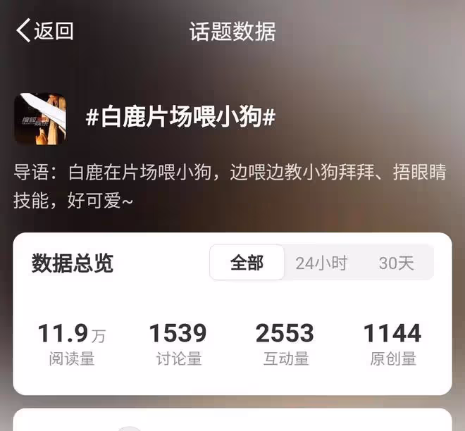 白鹿片場與狗互動引熱議，溫馨畫面展現深厚動物情感