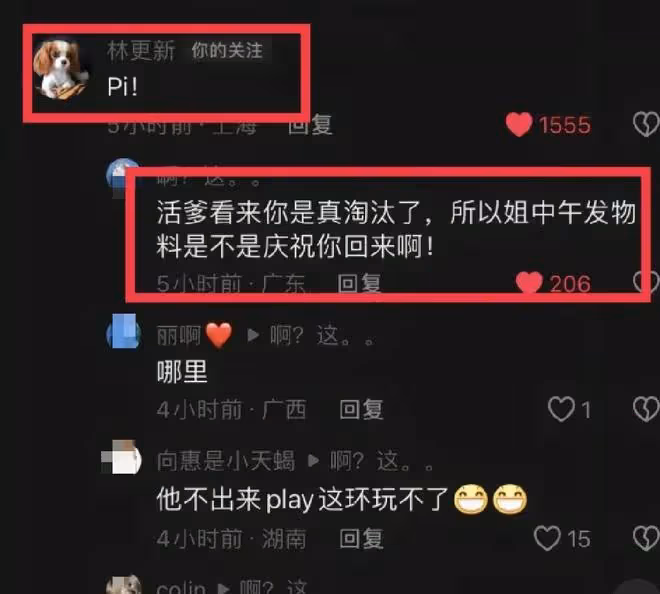 林更新被淘汰連夜趕回上海,太搞笑了,林懟懟上身