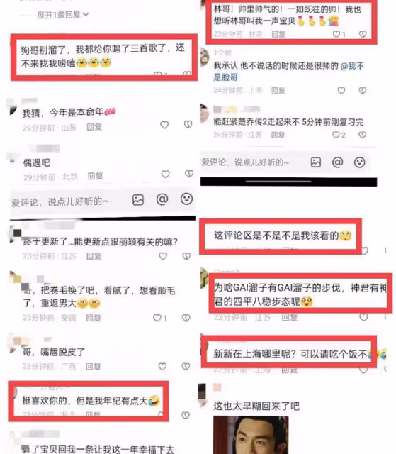 林更新被淘汰連夜趕回上海,太搞笑了,林懟懟上身