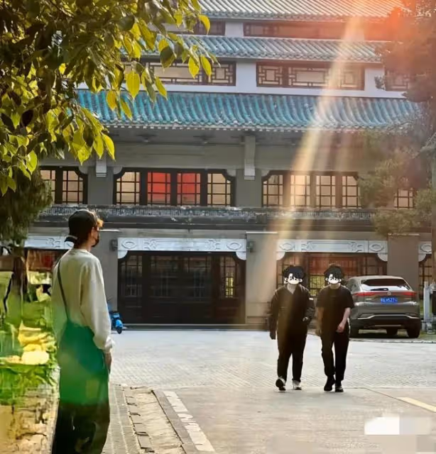 林更新被淘汰連夜趕回上海，太搞笑了，林懟懟上身