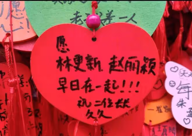林更新被淘汰連夜趕回上海，太搞笑了，林懟懟上身