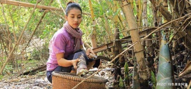 竹筍是哪裡的特產?中國十大優質竹筍產地,你覺得哪裡最有名?