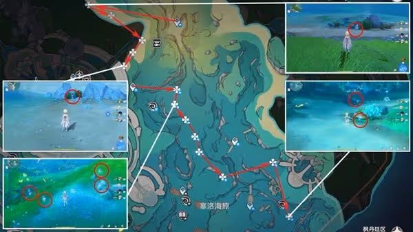 《原神》海露花快速採集線路分享