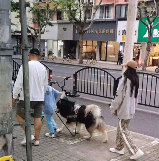 Angelababy楊穎現身上海街頭，格子褲撞款蔡依林，兒子長高不少！