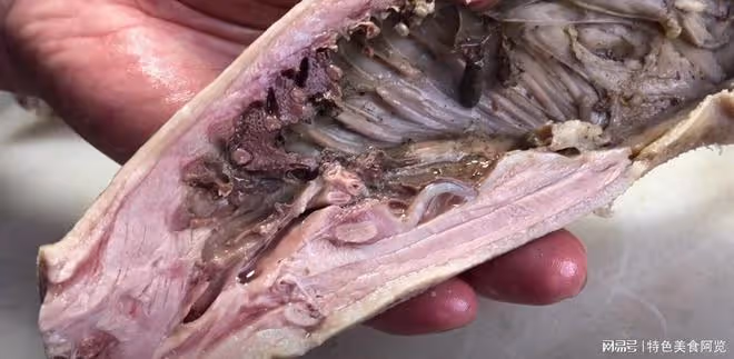 立夏,外行人吃豬肉,內行人專吃它,一周3次,滋陰補虛、止熱痢