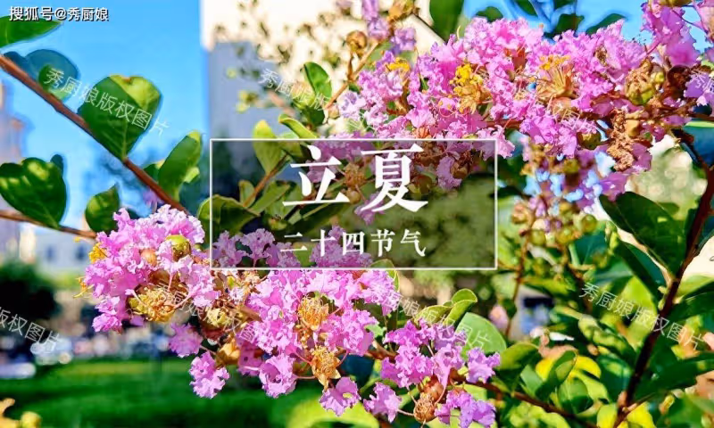 立夏後,要懂得忌口!老人說「立夏3不吃,一年病不沾」,指啥?