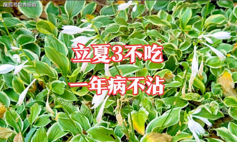 立夏後,要懂得忌口!老人說「立夏3不吃,一年病不沾」,指啥?