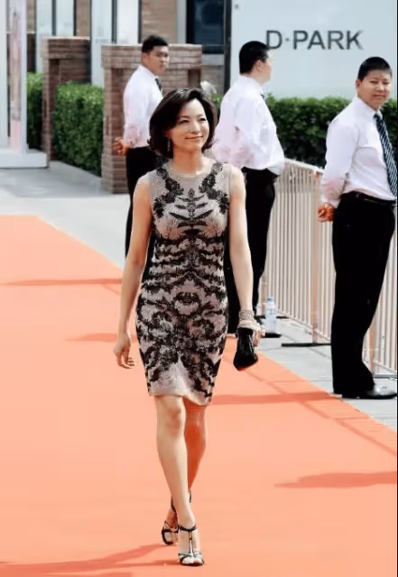 51歲董卿罕見這麼性感風騷，身穿高級灰連衣裙化身蜘蛛精，身材豐腴太迷人