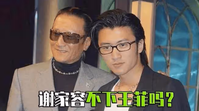 張柏芝母憑子貴，謝家容不下王菲？謝霆鋒：我這輩子都不會娶王菲的