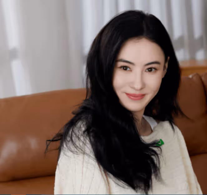 孫東海終於反擊！一張親子鑑定狠狠打了張柏芝的臉，她竟然無力反駁