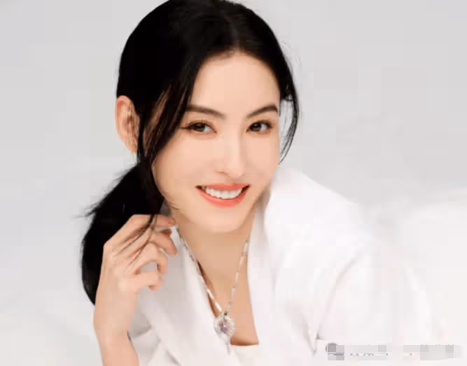 孫東海終於反擊！一張親子鑑定狠狠打了張柏芝的臉，她竟然無力反駁