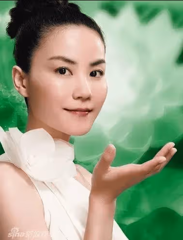 機關算盡終成空！謝霆鋒一把扯下謝賢的遮羞布，他已對張柏芝恨之入骨