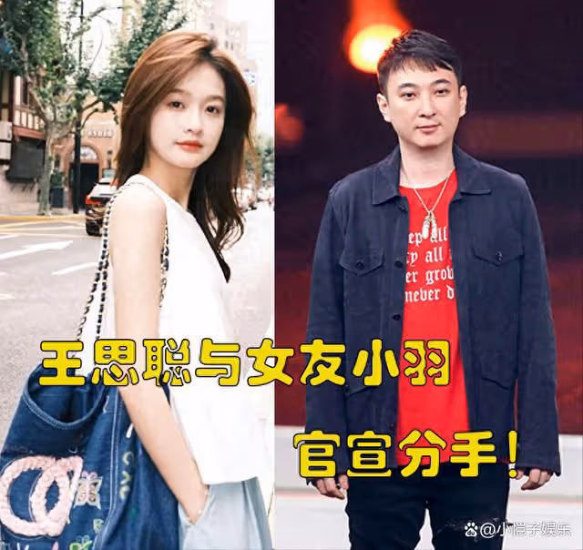 王思聰官宣分手上熱搜！他不願結婚可以有孩子，富豪父親有糾結