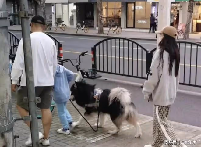 小海綿要有新爸爸啦？baby穿著樸素與兒子遛狗，神秘男子貼心陪伴
