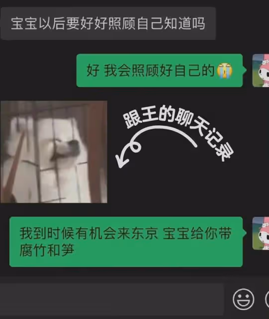 小羽與王思聰分手！聊天記錄爆出，王思聰：寶寶以後好好照顧自己