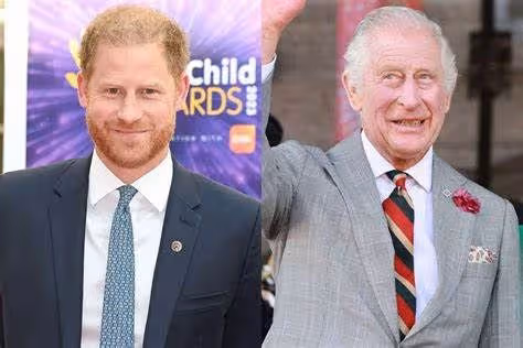 哈里王子在訪問英國時:「特別希望看到國王身體健康」