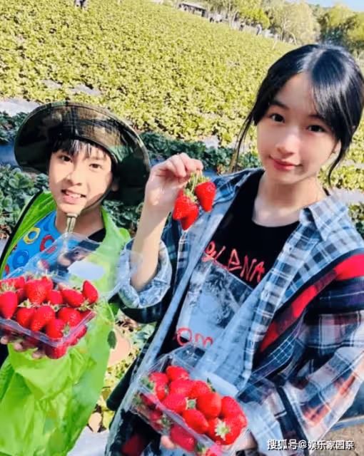 吳尊帶一兒一女摘草莓，neinei塗口紅顯清秀，弟弟Max臉小顏值高